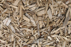 biomass boilers Beesands